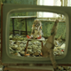 Image for article titled The Terrifying Reasons We're Confronting the Chernobyl Disaster Right Now